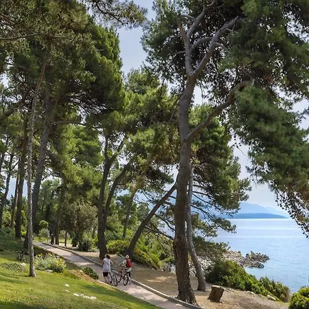 Valamar Carolina & Szálloda 4*