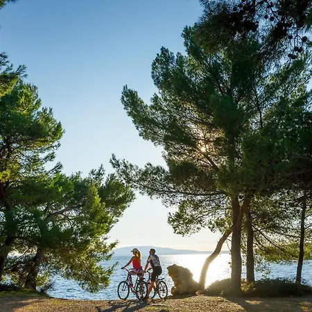 Szálloda Valamar Carolina &