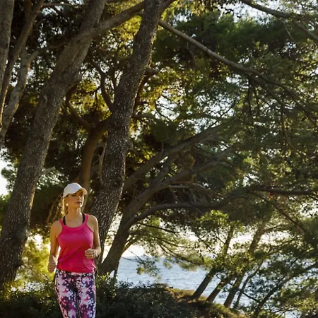 Hotel Valamar Carolina & 4*